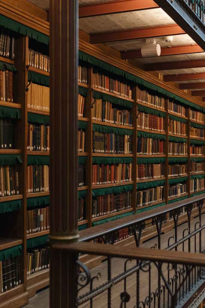 The Library That Was My Storm and My&nbsp;Harbour