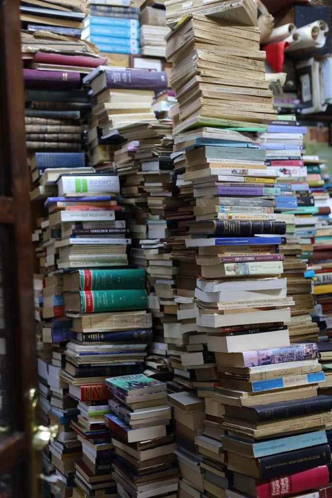 100 Book Recommendations by Bharat&nbsp;Chugh