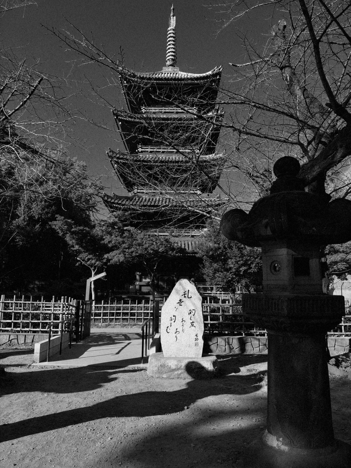 Black-and-white photograph of a five-storey pagoda behind branches and a stone lantern.